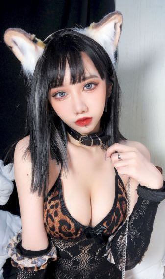 歌手当打之年免费观看完整版_DVD在线观看电视