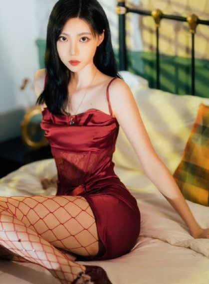 番茄tv_HD手机免费观看完整