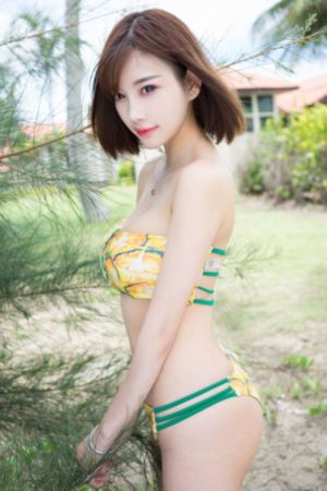 凤归四时歌 电视剧_高清全集在线观看
